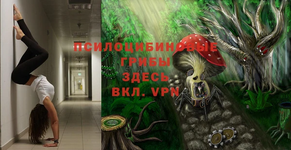 гидропоника Алексеевка