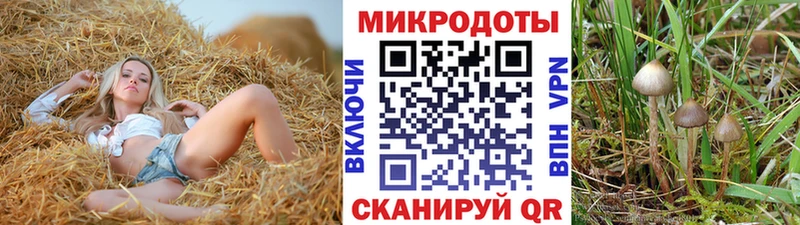 цены наркотик  Курлово  omg как зайти  дарк нет официальный сайт  Галлюциногенные грибы мицелий 